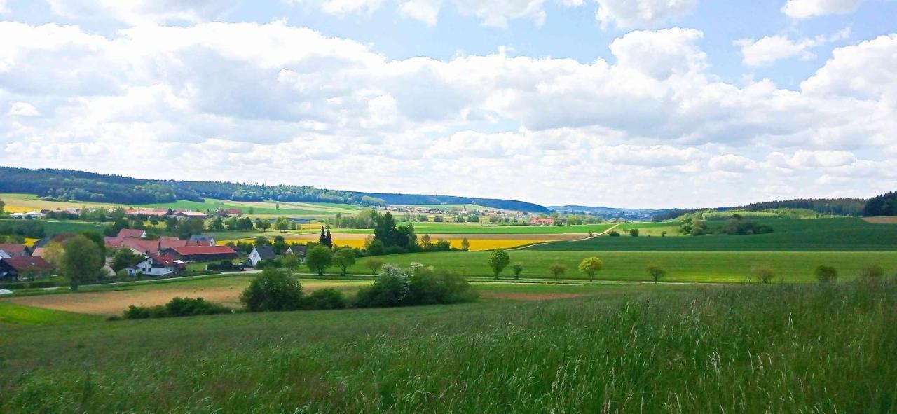 Ferienwohnung Im Barockwinkel Neuburg an der Kammel エクステリア 写真